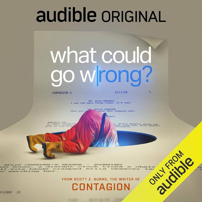 What Could Go Wrong artwork